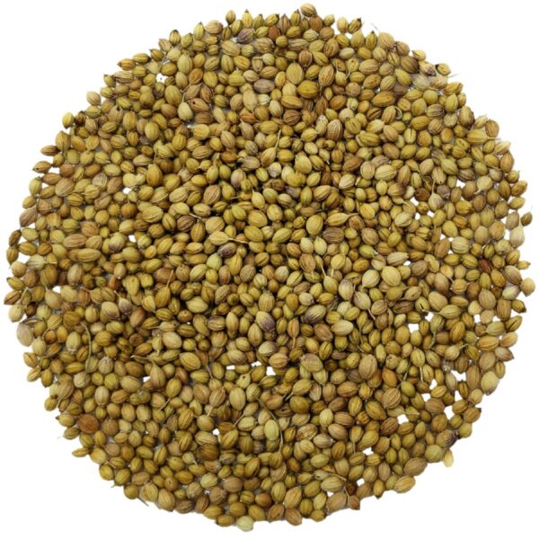 zee-spices-coriander-seeds-closeup-png.jpg Coriander Seeds Whole | Sabut Dhaniya | Zee Spices