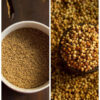 zee-spices-dhaniya-powder-closeup-png.jpg Coriander Powder | Dhaniya Powder | Zee Spices
