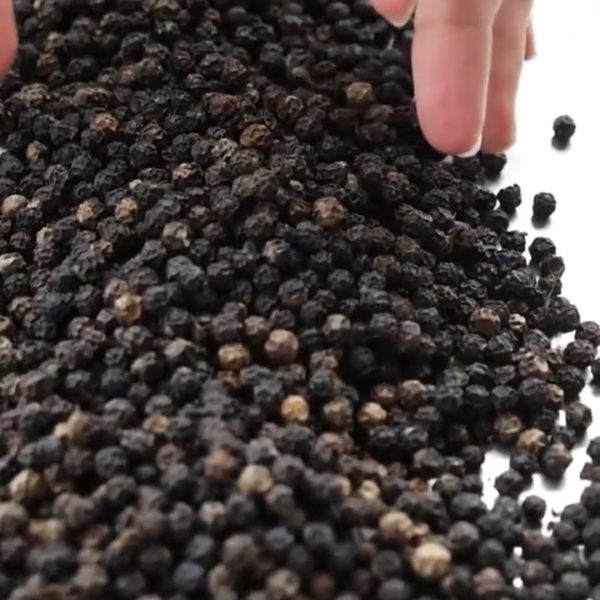 zee-spices-kaali-mirch-whole-closeup-png.png Black Pepper Powder | Kali Mirch Powder | Zee Spices